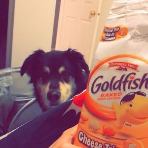 Meet your Posher, Del